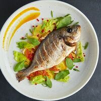 Дорадо в DuderHoff