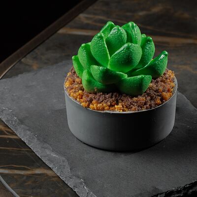 Терра в Вартазия по цене 970 ₽