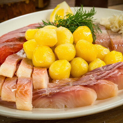 Северный бот в Экспедиция по цене 5500 ₽