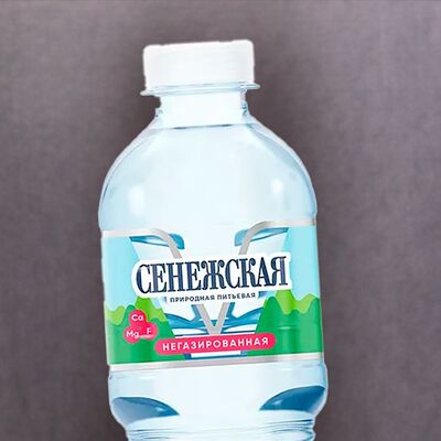 Сенежская вода в Эстет бургер по цене 70 ₽