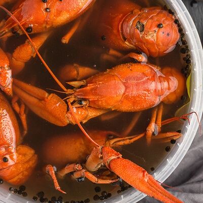 Рак отборный вареный в Раки Кусаки по цене 7500 ₽