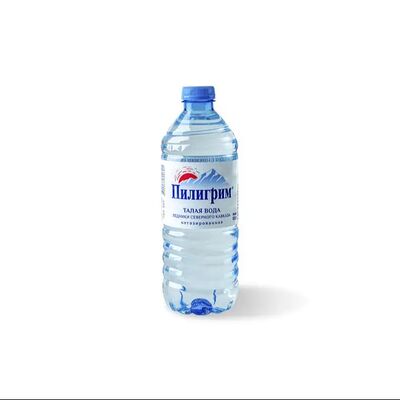 Вода Пилигрим негазированная в Boost по цене 60 ₽