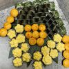 Сет Студентв Масаго по цене 3500