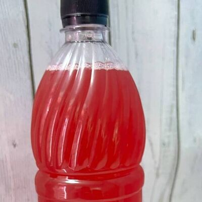 Морс клюквенный домашний в Swag Sushi по цене 265 ₽