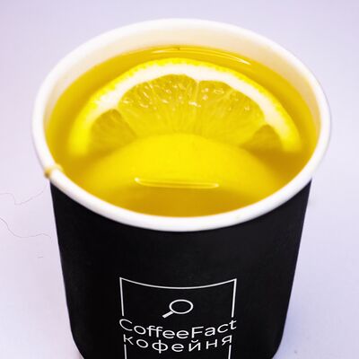 Чай Облепиховый с медом Standart в CoffeeFact по цене 369 ₽