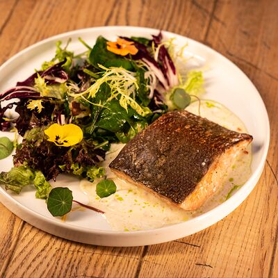 Форель на гриле, микс-салат в Harley Drink Bar по цене 1750 ₽