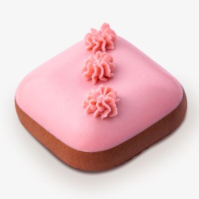 Пирожное Три шоколада Rawв BIOSILA по цене 695 ₽