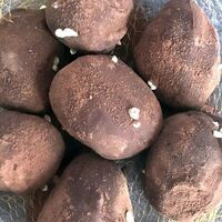 Картошка в шоколадев Джем