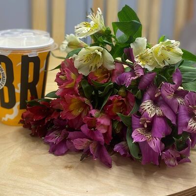 Капучино иАльстромерия в Do.bro coffee по цене 1620 ₽