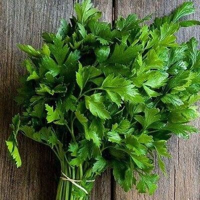 Кинза в Старый Город по цене 258 ₽