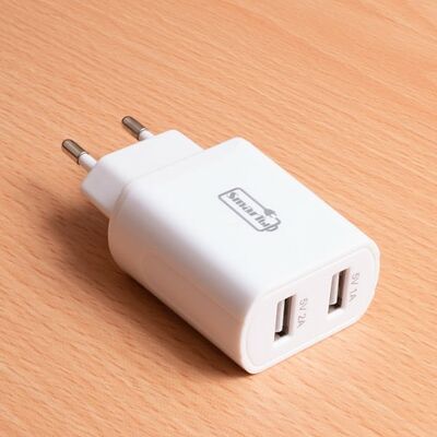 Адаптер для дома с разъёмами A и С 18 Вт SmarTы в Мясная Заправка по цене 55000 ₽