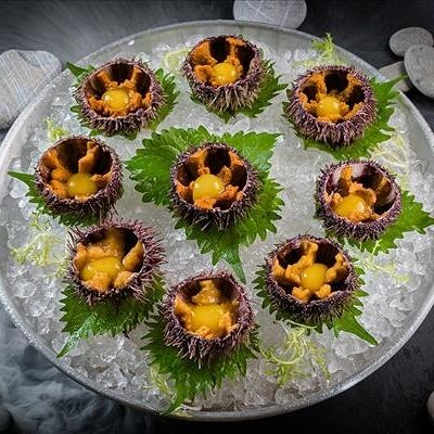 Живой морской еж в Bluefin по цене 1330 ₽