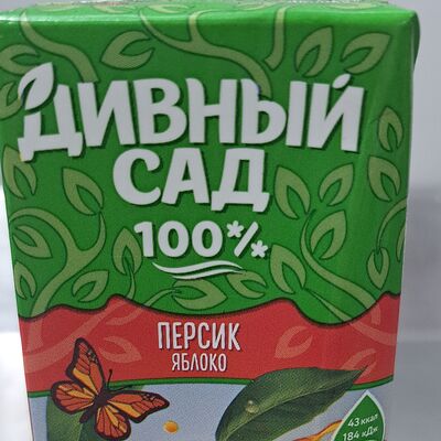 Сок Дивный сад в Шашлык в бору по цене 45 ₽