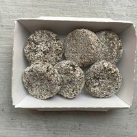 Свежемороженые грибные котлетки в Lemon Tree на 25 октября 47