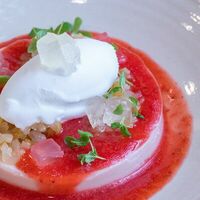 Клубничная панна-котта с желе из игристого в Gino Cafe