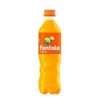 Черноголовка fantola Citrus пэт Напиток сильногазированный в Три Вкуса Пицца