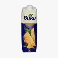 Вико Ананасв 22 vek