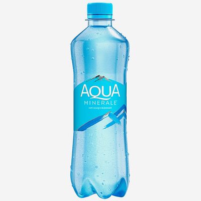 Aqua Minerale без газа в Логово по цене 130 ₽