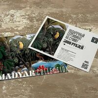 Подарочный сертификат на 3000 в Мадьяр-Гриль