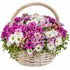 Композиция в корзине Предвкушение в FLORISTICA по цене 6950