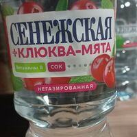 Сенежская Клюква,мята негазированная в Шаурма шейх халяль