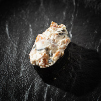 Гункан Спайси угорь в In Tasty