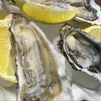 Устрица Императорская Хасанская №2 в Ракушка