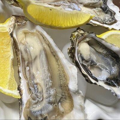 Устрица Императорская Хасанская №2 в Ракушка по цене 450 ₽