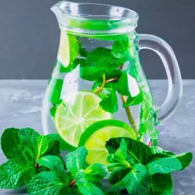 Мохито 1л в Любимые мгновения по цене 1050 ₽