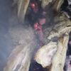 Шашлык из бараньих пистолетиков в Шашлычок по цене 600