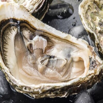 Устрицы живые в Сохо по цене 220