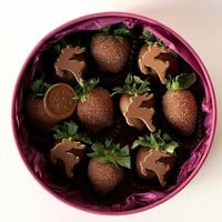 Шайба из клубники в шоколаде с дизайном олени в Клубникисс