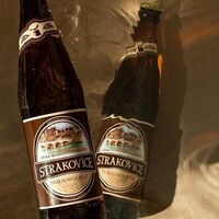 Безалкогольное пиво Strakovice Nealkoholicky, Россия в True&Evil