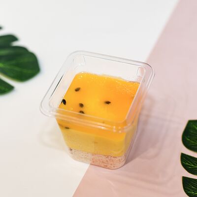 ПП Манго в Pokemania по цене 559 ₽