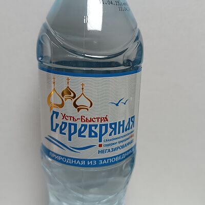 Серебряная 0.5 л в Bro бургер по цене 60 ₽