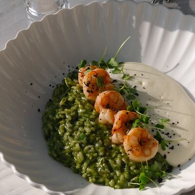 Ризотто с креветками и пестов Bisou Bisou Bistro по цене 1180 ₽