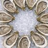 Сет Дюжина устриц в Невская пицца по цене 3750