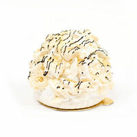 Графские развалины в Абрикосовъ