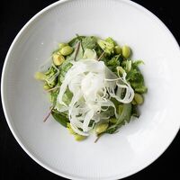 Большой зеленый салат с чукой и ореховым соусом в STG CAFE