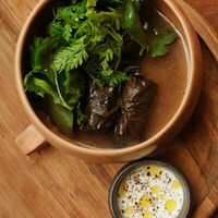 Долма с говядиной и мацони в Moro