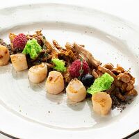 Гребешки на гриле с лисичками и ягодами в Итальянец