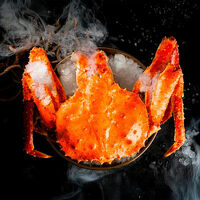 Логотип Акула вкуса