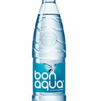 Вода BonAqua негазированная в TokiNY