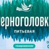 Вода Черноголовка газированная в Кококорнер по цене 200