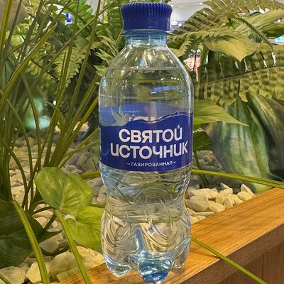 Вода Святой источник с газом в Поль Бейкери по цене 115 ₽