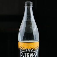 Evervess Индиан тоник в Гвозди