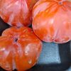 Хурма Ромашка в Шашлычок по цене 180