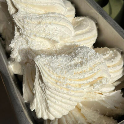Кокос в GelaTiAmo по цене 600 ₽