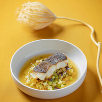 Палтус на гриле с салатом из сельдерея в Чайхона №1 Васильчуки