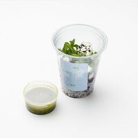 Салат с рукколой и печеной свеклой в Весна